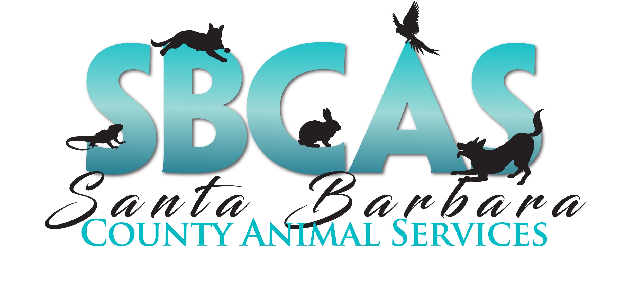 Santa Barbara County Animal Services, Santa Barbara, California